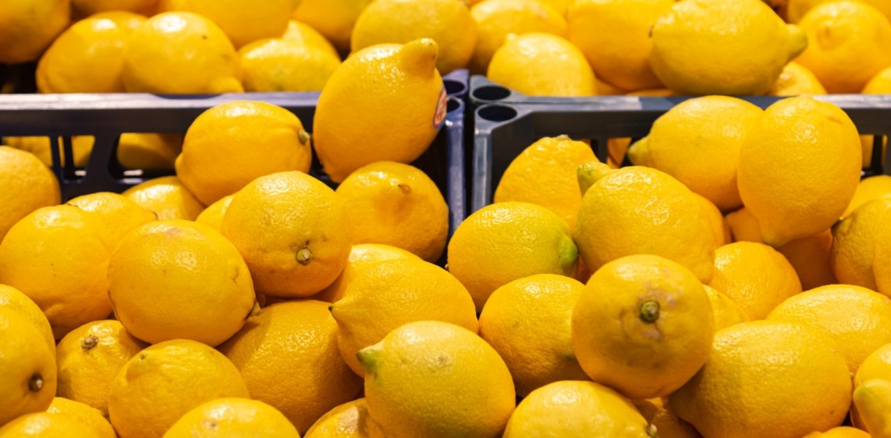 «40 жыл өнім береді»: сарыағаштық шаруа жылыжайдан жылына 200 тонна лимон жинап отыр