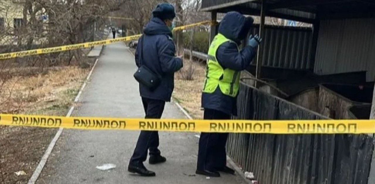 Кентауда қоқыс жәшігінен жаңа туған сәбидің денесі табылды