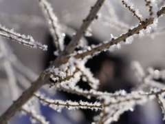 Республикалық маңызы бар автожолдардың барлығы ашық – Қазавтожол