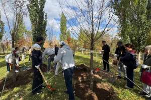 Астананың Байқоңыр ауданында 150-ден астам ағаш отырғызылды