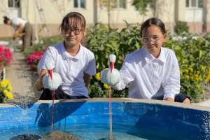 Елордалық оқушылар мектеп ауласын жасыл зертханаға айналдырды