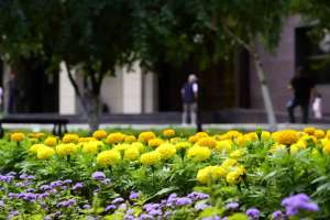 Астанада Конституция күні қарсаңында жаңа гүлзар ашылды