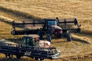 Қазақстан өзін азық-түлік тауарларының негізгі түрлерімен толық қамтамасыз етеді – министр