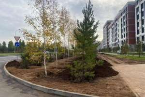 Жыл соңына дейін елорданың Алматы ауданында 6 мыңнан астам ағаш отырғызылады