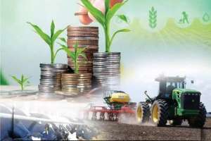 Елімізде ауыл шаруашылығы өнімінің көлемі 4%-ға өсті