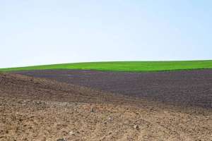 Мемлекет меншігіне 13,7 млн гектар жер қайтарылды