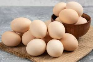 Елімізде жұмыртқаны терең өңдейтін зауыт салынады