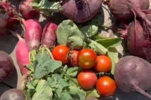 «Таза Қазақстан»: елордада мектеп жанынан экологиялық бақ ашылды