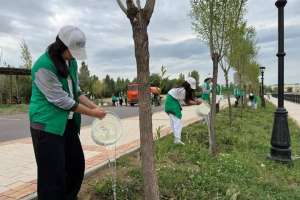 Таза Қазақстан: «Жасыл ел» жастары табиғатты қорғауға үн қосты