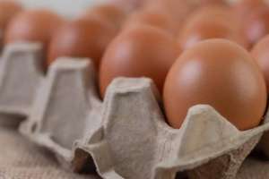 Жұмыртқа бағасын тұрақтандыру бойынша меморандум жасалды