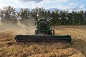 Қазақстанда 5,9 млн тонна астық жиналды