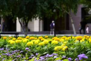 Тамыз айының соңғы күндері ауа райы қандай болады