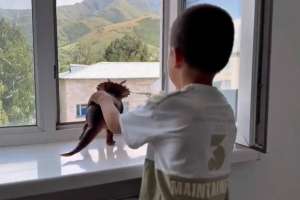 ТЖМ ескертеді: Ашық терезелер балаларға қауіп төндіреді