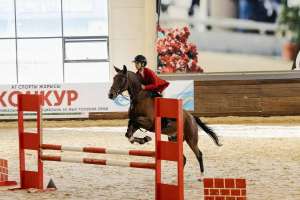 Астанада Конституцияның 30 жылдығына арналған ашық чемпионат өтіп жатыр