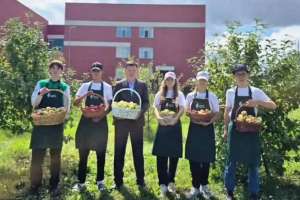 Елордалық оқушылар мектеп ауласындағы алма бағынан мол өнім жинады