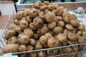 Сарыағашта тұрып қалған 42 вагон картопқа қатысты министрлік өкілдері пікір білдірді