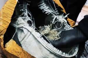 Telegram арқылы есірткі сатқандар 8 жылға бас бостандығынан айырылды