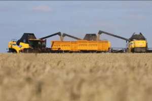 Қазақстанда 2,4 млн тонна астық бастырылды