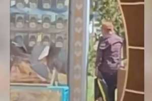 Астанада Абайдың нақыл сөздері жазылған стендті бүлдірген ер адам қамауға алынды