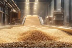 Қостанай облысында 34 астық қабылдау кәсіпорны мен қоймалары дайындалды