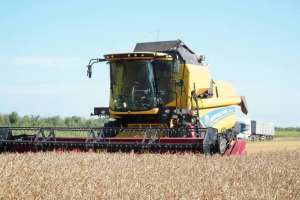 Ақмола облысының екі ауданында күздік дақылдарды жинау аяқталды