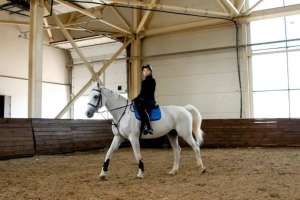 Елордалық спортшылар конкурдан халықаралық жарыста 33 медаль жеңіп алды