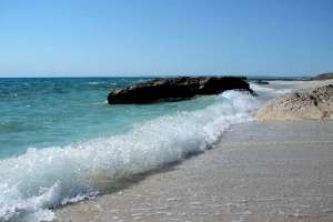 «Құстар теңізді жаяу кешіп жүр»: депутат Каспий теңізінің жағдайы қиын екенін айтты