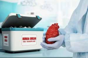 Қазақстандағы донор тапшылығын қалай шешуге болады