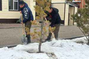 «Қамқор» әлеуметтік қызмет көрсету орталығы «20 игі іс» акциясына қатысты