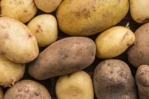 Картоп бағасын негізсіз көтергендерге айыппұл салынды