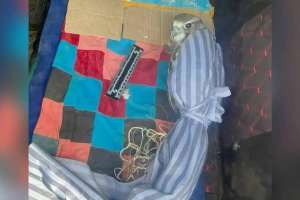 Қызыл кітапқа енген құсты заңсыз алып жүрген тұрғын ұсталды (ВИДЕО)