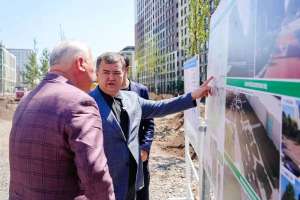 Сығанақ көшесі мен Қабанбай батыр даңғылында 7500 ағаш отырғызылады