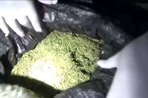 Жамбыл облысында ірі көлемде есірткі сақтаған тұрғын ұсталды