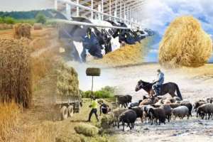 1 тамызда елімізде ұлттық ауыл шаруашылығы санағы басталады