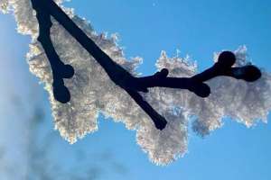 «Аппақ қар» әнінің авторы базарда қара жұмыс істеп жүр