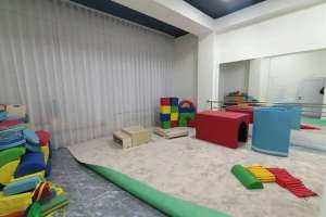 Ерекше балаларға арналған психологиялық-педагогикалық түзету орталықтарының саны артты