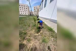 Елордалық жас спортшылар экологиялық акцияға қатысты