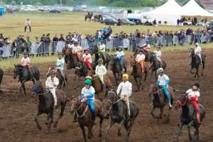 120 млн теңге: Елорда бәйге түрлерінен ауқымды «Астана кубогын» қабылдайды