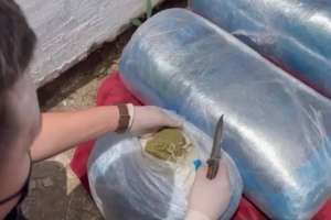 Абай облысында күдіктіден 100 келіден астам марихуана мен 7 келі гашиш тәркіленді