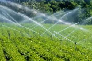 Биыл оңтүстіктегі диқандарға су былтырғыдан 335 млн текше метрге артық берілді