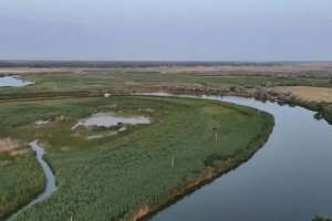 Түркістан облысына 1,5 млрд текше метрден астам су жіберілді