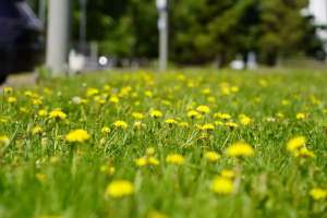 Маусым айында ауа райы қандай болады