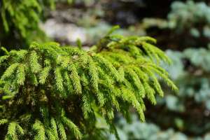 Елімізде алдағы күндері күн суытады