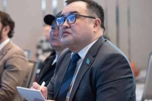 Самат Нұртаза: Президент біраз мәселені айқындап берді