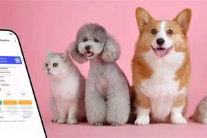 ЕGov Mobile қосымшасында тағы бір қызмет іске қосылды