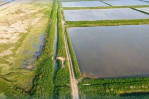 Қызылорда облысында 15 мың гектардан астам егістік жер қалпына келтірілді