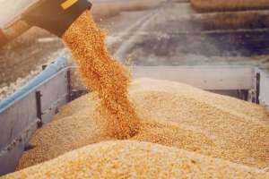 Азық-түлік келісімшарт корпорациясы фермерлерге 6,4 млрд теңге жіберді