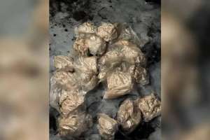 Заңсыз айналымнан 20 келі синтетикалық есірткі тәркіленді