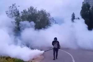 Астанада маса мен шіркейге қарсы дезинсекциялық жұмыс жүргізіліп жатыр