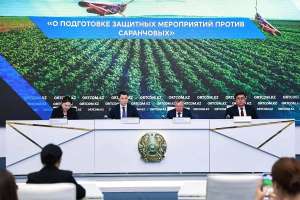 Зиянкестердің таралу алаңдарын зерттеу үшін дрондар мен жасанды интеллект технологиялары пайдаланылады